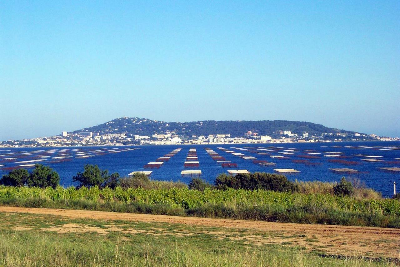 דירות Mèze Port Mezua מראה חיצוני תמונה